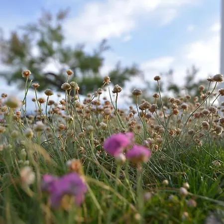 Apartment Con Encanto 